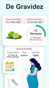Calculadora de Gravidez screenshot