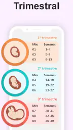 Calculadora de Gravidez 4