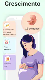 Calculadora de Gravidez 5