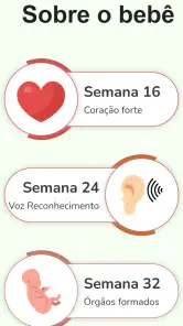 Calculadora de Gravidez screenshot
