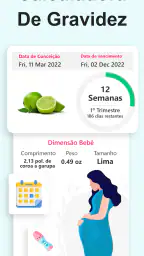 Calculadora de Gravidez 8