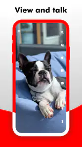 Camy - Monitoramento de vídeo screenshot