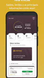 Cartão Lojas Avenida 1