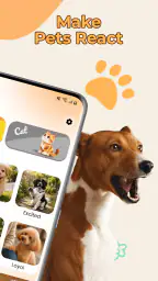 Cat Translator, Dog Translator 3