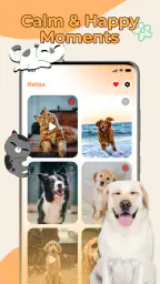 Cat Translator, Dog Translator 6