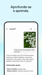 ChatGPT screenshot