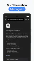 Chrome Dev 6