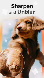 Citrus 1 Tap Photo Enhancer AI 5