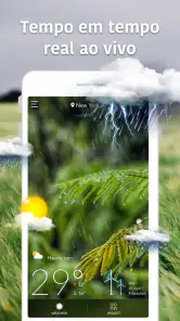 Clima, Radar e Widgets screenshot