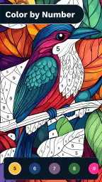 Color by Number: Coloring Book 1