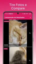 Agenda Capilar e Facial 4