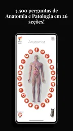 Anatomist - Jogo de Anatomia 1