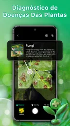 Identificador de plantas 2
