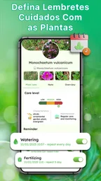 Identificador de plantas 3