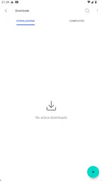 Kiwi Browser - Fast & Quiet 2
