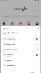Kiwi Browser - Fast & Quiet 3