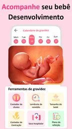 Gravidez App Semana a Semana 2