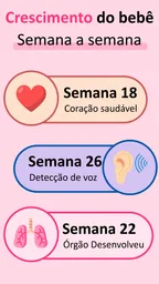 Gravidez App Semana a Semana 4