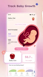 Pregnancy Tracker & Baby Diary 2