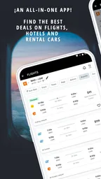 Voos baratos: google flights 2