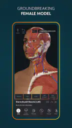 Complete Anatomy 1