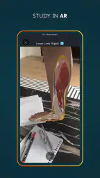 Complete Anatomy 4