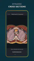 Complete Anatomy 7