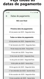 Consulta Benefício 1
