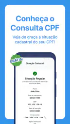 Consulta CPF: Score e Situação 1