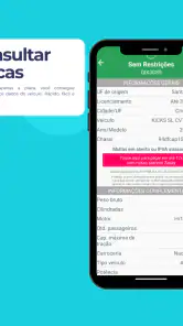 Consulta Placa Preço e Multas screenshot