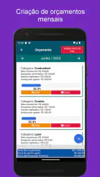 Controle Financeiro Pessoal 4