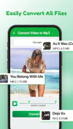 Conversor de Video para MP3 2