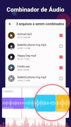 Conversor Video para Audio/MP3 5