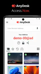 Desktop remoto AnyDesk 1