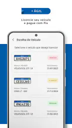 Detran-SP 6
