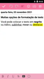 Diário com uma fechadura 6