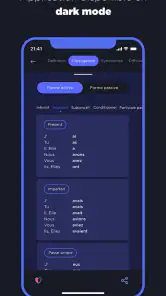 Dictionnaire Larousse français screenshot