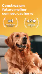 Dog Care: Comunidades por Raça 1