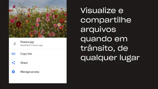 Dropbox: Armazenamento seguro 2
