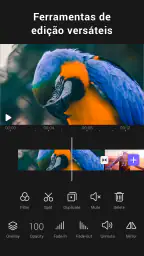 Editor de Vídeo AI - VivaCut 2