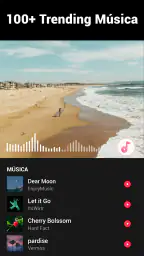Editor de video - Video.Guru 5
