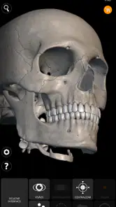 Esqueleto | Anatomia 3D screenshot