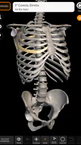 Esqueleto | Anatomia 3D screenshot