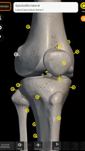 Esqueleto | Anatomia 3D screenshot