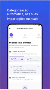 Fing: Gestor de finanças screenshot
