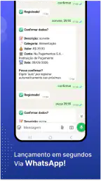 Fing: Gestor de finanças 6