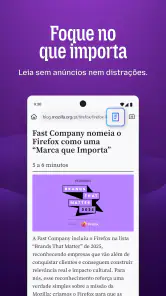 Firefox browser privado screenshot