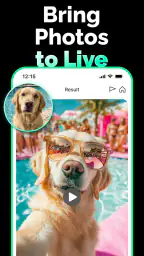 FlinxAI Video & Photo Editor 5