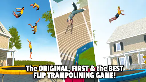 Flip Master 1