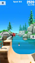 Flip Skater 5